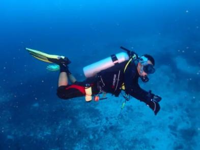 埃因霍温荷甲全胜遭终结，此前半程17-0-0进59球丢7球