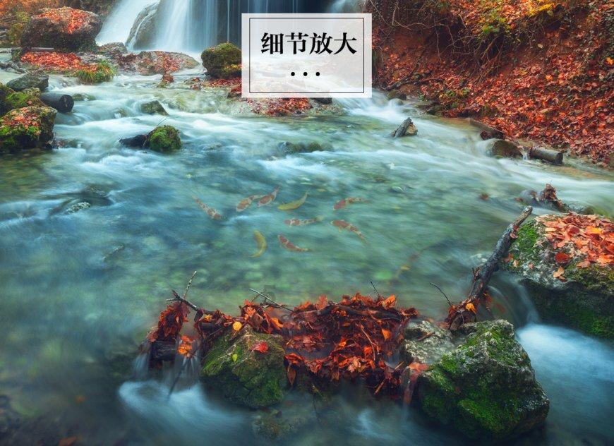 美丽的铅笔裙